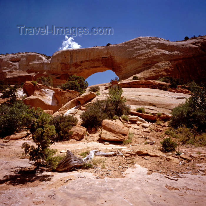 usa156: Arches National Park, Utah, USA: the North Window from below - photo by C.Lovell - (c) Travel-Images.com - Stock Photography agency - Image Bank