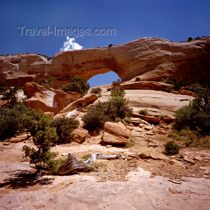 (c) Travel-Images.com - Stock Photography agency - the Global Image Bank