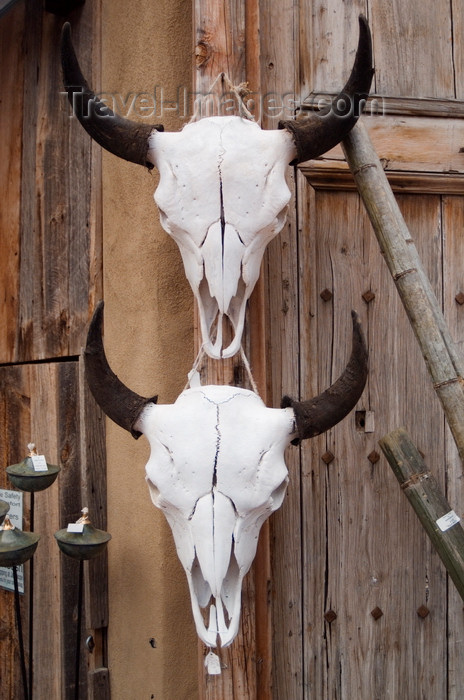 usa1580: Santa Fé, New Mexico, USA: cattle skulls for sale at the Mercado Trading Post - the cow skull is an icon of the old west - rustic wall decoration - photo by C.Lovell - (c) Travel-Images.com - Stock Photography agency - Image Bank