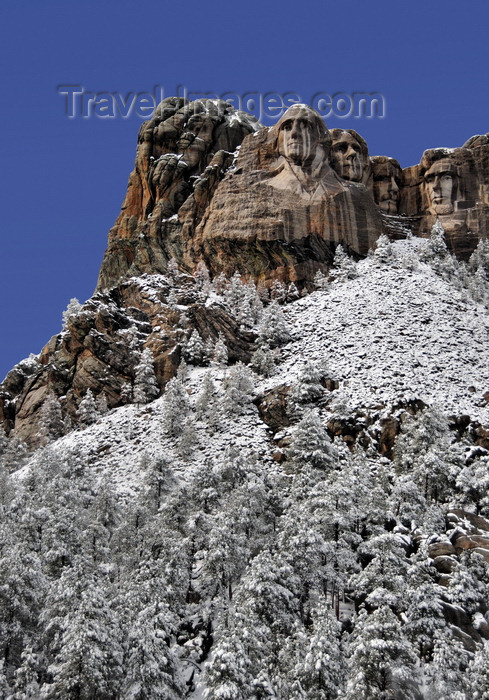usa159: Mount Rushmore National Memorial, Pennington County, South Dakota, USA: granite sculptures by Gutzon Borglum with snow on the slope - Black hills - United States Presidential Memorial - photo by M.Torres - (c) Travel-Images.com - Stock Photography agency - Image Bank