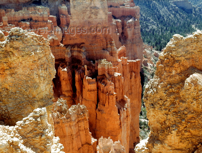 usa163: Bryce Canyon National Park, Utah, USA: vertical rock walls and pillars - photo by J.Fekete - (c) Travel-Images.com - Stock Photography agency - Image Bank