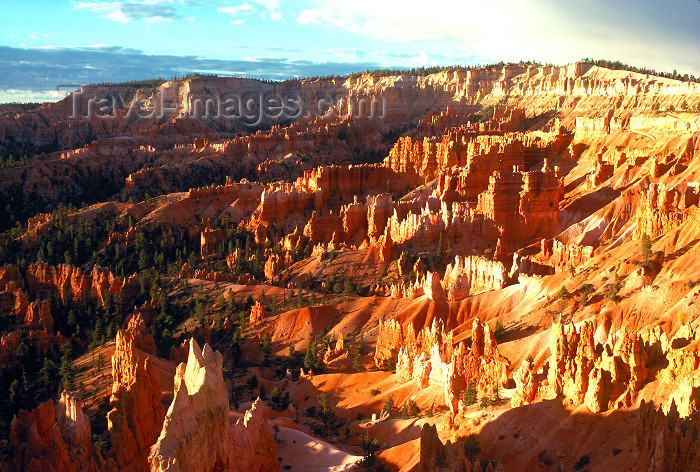 usa164: USA - Bryce Canyon National Park (Utah): wide view - giant natural amphitheater created by erosion along the eastern side of the Paunsaugunt Plateau - hoodoos - photo by J.Fekete - (c) Travel-Images.com - Stock Photography agency - Image Bank
