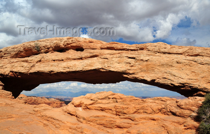 usa1646: Canyonlands National Park, Utah, USA: Mesa Arch - stone arch - Island in the Sky district - La Sal mountains in the background - photo by M.Torres - (c) Travel-Images.com - Stock Photography agency - Image Bank
