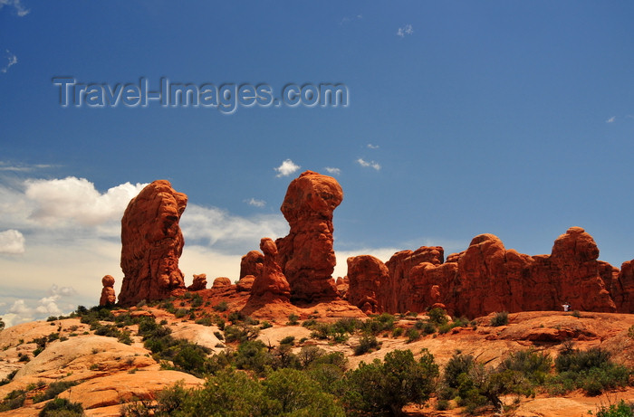 usa1677: Arches National Park, Utah, USA: western side of Elephant Butte - megaliths and juniper trees - photo by M.Torres - (c) Travel-Images.com - Stock Photography agency - Image Bank