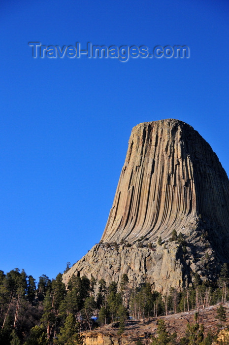 usa173: Devils Tower National Monument, Wyoming: proclaimed by President Theodore Roosevelt as the first national monument in 1906 - photo by M.Torres - (c) Travel-Images.com - Stock Photography agency - Image Bank