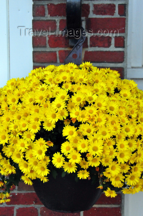 usa1792: Portsmouth, New Hampshire, USA: vase with yellow flowers on Ceres St, Tugboat Alley - New England - photo by M.Torres - (c) Travel-Images.com - Stock Photography agency - Image Bank