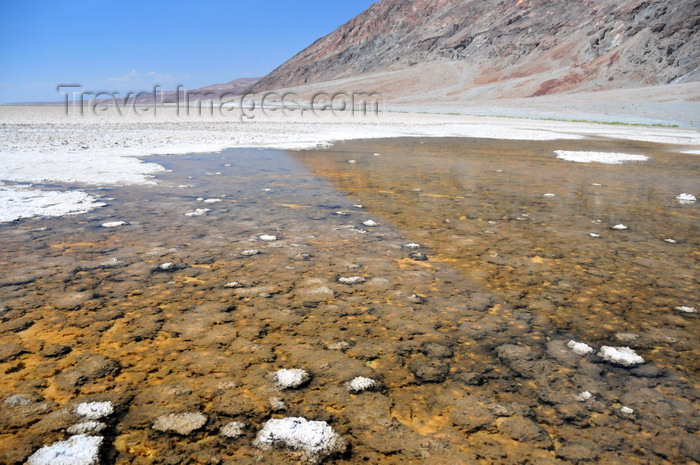 usa1842: Death Valley National Park, California, USA: Badwater Basin - salt water at the lowest point in North America, 86 meters below sea level, a surreal landscape of vast salt flats - the wetlands are inhabited by rare snails - photo by M.Torres - (c) Travel-Images.com - Stock Photography agency - Image Bank
