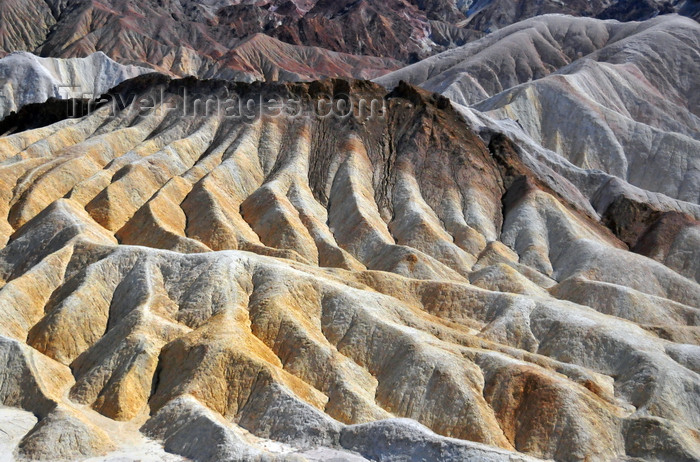 usa1859: Death Valley National Park, California, USA: Zabriskie Point - badlands - water erosion produces bone-dry, finely-sculpted, golden brown rock - Furnace Creek Formation - alluvial fan - photo by M.Torres - (c) Travel-Images.com - Stock Photography agency - Image Bank