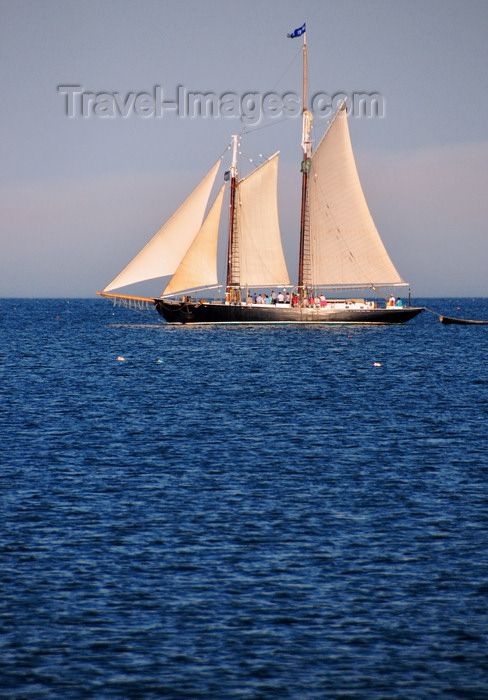 usa1940: Rockland, Maine, New England, USA: windjamming in Maine - Schooner Nathaniel Bowditch sailing - built in 1922 - photo by M.Torres - (c) Travel-Images.com - Stock Photography agency - Image Bank