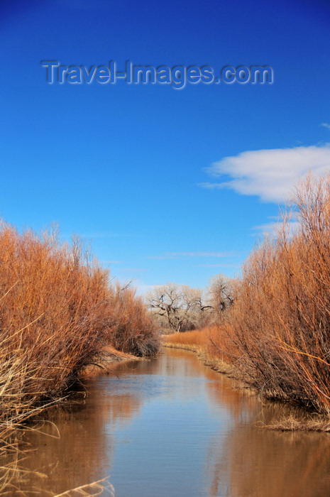 usa1955: Bosque del Apache National Wildlife Refuge, Socorro County, New Mexico, USA: narrow waterway in the marshes - photo by M.Torres - (c) Travel-Images.com - Stock Photography agency - Image Bank