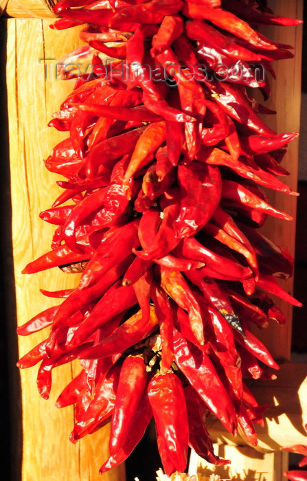 usa1988: Albuquerque, Bernalillo County, New Mexico, USA: Old City - cluster of deep red chili peppers on Calle San Felipe - photo by M.Torres - (c) Travel-Images.com - Stock Photography agency - Image Bank