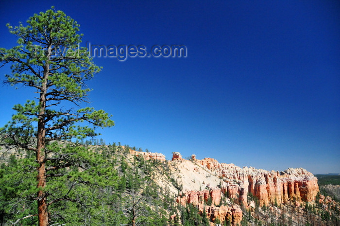 usa2005: Bryce Canyon National Park, Utah, USA: Swamp Canyon - erosional continuum transition from plateau towards pinnacle - photo by M.Torres - (c) Travel-Images.com - Stock Photography agency - Image Bank