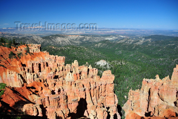 usa2006: Bryce Canyon National Park, Utah, USA: Ponderosa Point - pinnacles rise from the forest - photo by M.Torres - (c) Travel-Images.com - Stock Photography agency - Image Bank