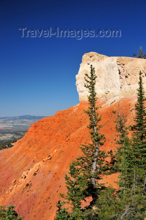 usa2007: Bryce Canyon National Park, Utah, USA: red and white promontory north of Rainbow point - oxidation of the iron formed hematite with its pink and red hues - photo by M.Torres - (c) Travel-Images.com - Stock Photography agency - Image Bank