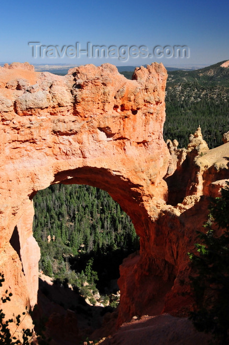usa2008: Bryce Canyon National Park, Utah, USA: Natural Bridge - arch in the Claron Formation with a view of the forest - photo by M.Torres - (c) Travel-Images.com - Stock Photography agency - Image Bank