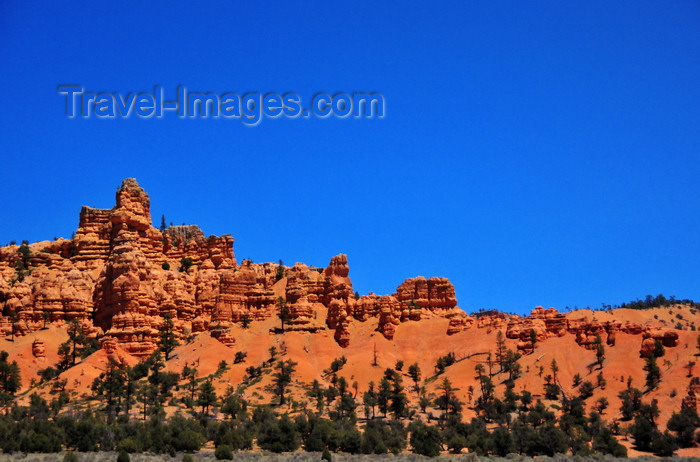 usa2011: Dixie National Forest, Utah, USA: Red Canyon - red rock formations along Scenic Byway 12 - photo by M.Torres - (c) Travel-Images.com - Stock Photography agency - Image Bank