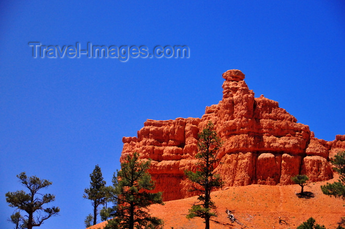 usa2013: Dixie National Forest, Utah, USA: Red Canyon - eroded red sandstone rock outcrop - photo by M.Torres - (c) Travel-Images.com - Stock Photography agency - Image Bank