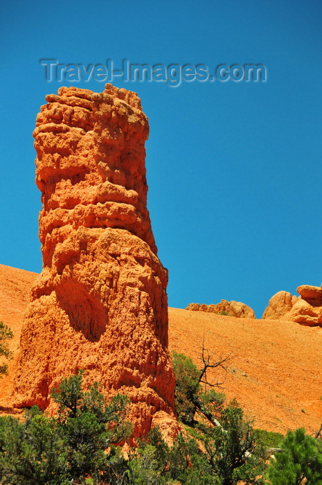 usa2014: Dixie National Forest, Utah, USA: Red Canyon - pillar of red rock above the tree line - monolith - photo by M.Torres - (c) Travel-Images.com - Stock Photography agency - Image Bank
