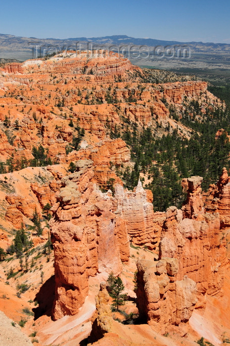 usa2019: Bryce Canyon National Park, Utah, USA: Sunrise Point - hoodoos and distant views of the Black Mountains - photo by M.Torres - (c) Travel-Images.com - Stock Photography agency - Image Bank
