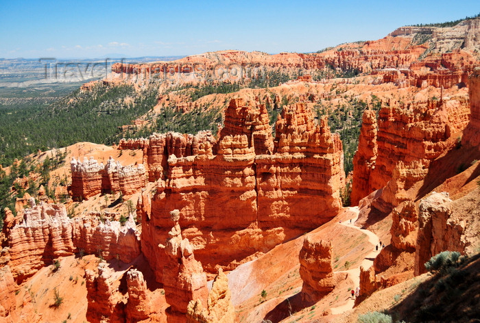 usa2020: Bryce Canyon National Park, Utah, USA: Sunrise Point - red hoodoos - view south towards Navajo Mountain - photo by M.Torres - (c) Travel-Images.com - Stock Photography agency - Image Bank