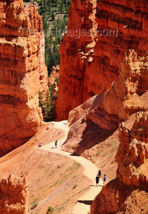 usa2021: Bryce Canyon National Park, Utah, USA: Sunrise Point - tourists walk along a path through gigantic vertical rock fins - photo by M.Torres - (c) Travel-Images.com - Stock Photography agency - Image Bank