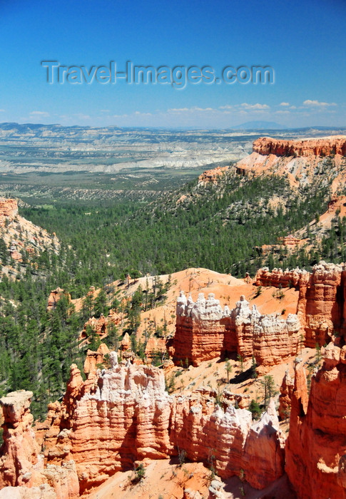 usa2022: Bryce Canyon National Park, Utah, USA: Sunrise Point - hoodoos and forest on the eastern side of the Paunsaugunt Plateau - photo by M.Torres - (c) Travel-Images.com - Stock Photography agency - Image Bank