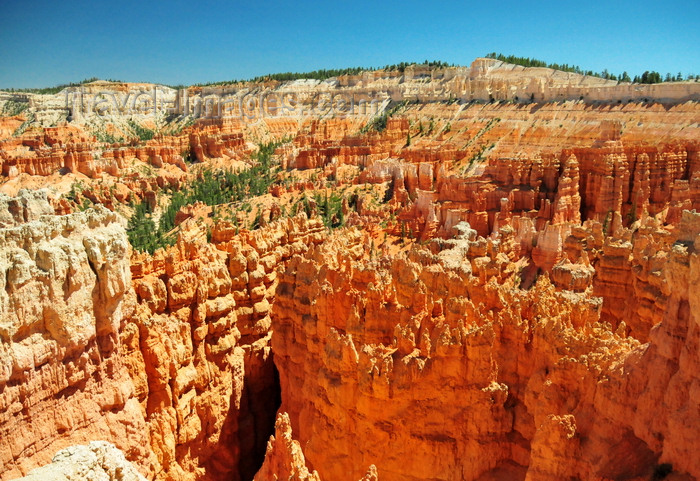 usa2023: Bryce Canyon National Park, Utah, USA: Sunset Point - cliffs and hoodoos of the Claron Formation - photo by M.Torres - (c) Travel-Images.com - Stock Photography agency - Image Bank