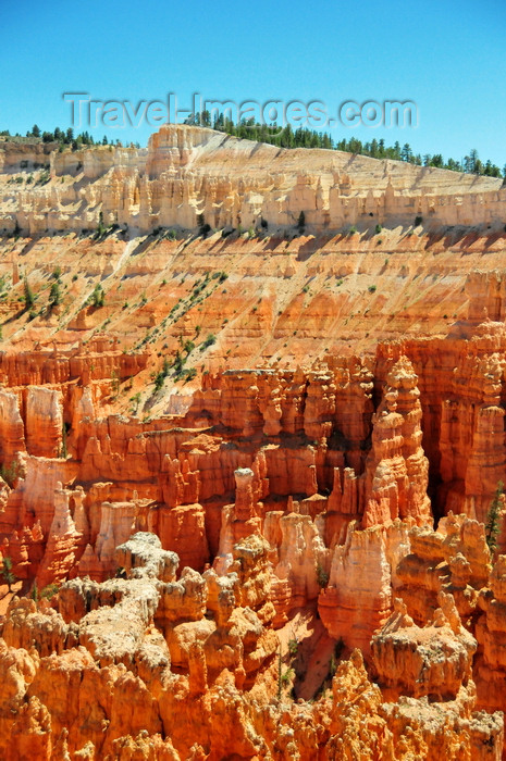 usa2024: Bryce Canyon National Park, Utah, USA: Sunset Point - cliffs and red hoodoos - photo by M.Torres - (c) Travel-Images.com - Stock Photography agency - Image Bank