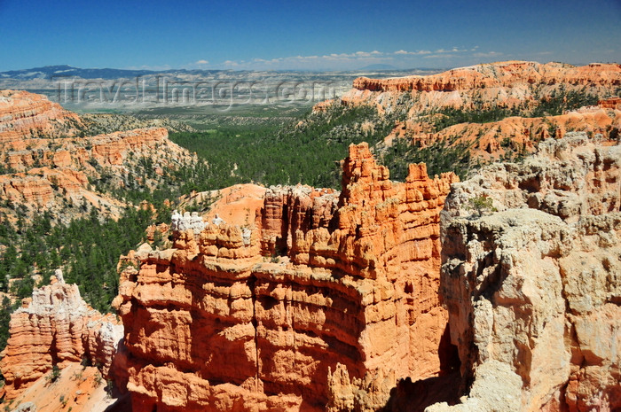 usa2025: Bryce Canyon National Park, Utah, USA: Sunset Point - looking west - forest and rocks - photo by M.Torres - (c) Travel-Images.com - Stock Photography agency - Image Bank
