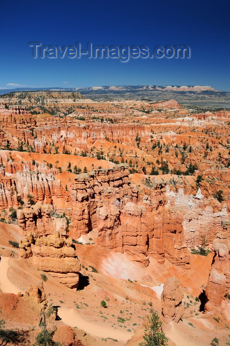 usa2026: Bryce Canyon National Park, Utah, USA: Sunset Point - fairyland of orange, red and pink rock spires called hoodoos - photo by M.Torres - (c) Travel-Images.com - Stock Photography agency - Image Bank