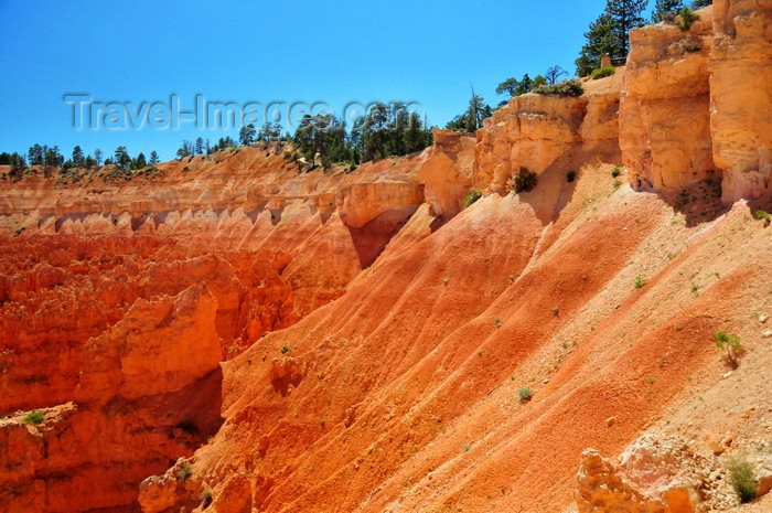 usa2029: Bryce Canyon National Park, Utah, USA: Sunset Point - limestone becomes sand - view of the canyon's rim - photo by M.Torres - (c) Travel-Images.com - Stock Photography agency - Image Bank