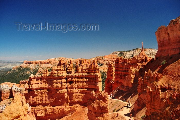usa2032: Bryce Canyon National Park, Utah, USA: Sunset Point - the Navajo Loop Trail embraces the cliffs - photo by M.Torres - (c) Travel-Images.com - Stock Photography agency - Image Bank