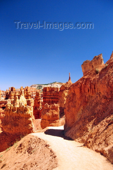 usa2033: Bryce Canyon National Park, Utah, USA: Sunset Point - Navajo Loop Trail - photo by M.Torres - (c) Travel-Images.com - Stock Photography agency - Image Bank