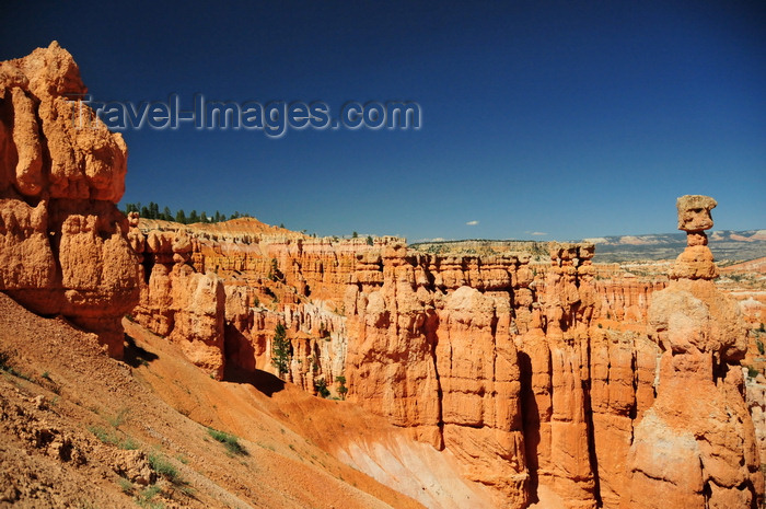 usa2037: Bryce Canyon National Park, Utah, USA: Sunset Point - sand and hoodoos - Thor's hammer on the right - photo by M.Torres - (c) Travel-Images.com - Stock Photography agency - Image Bank