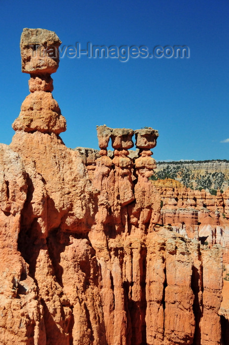 usa2038: Bryce Canyon National Park, Utah, USA: Sunset Point - Thor's Hammer hoodoo stands above neighbouring pinnacles - photo by M.Torres - (c) Travel-Images.com - Stock Photography agency - Image Bank