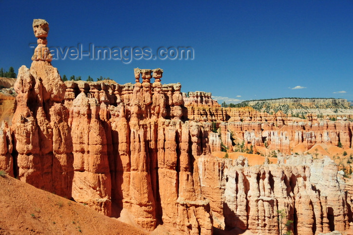 usa2039: Bryce Canyon National Park, Utah, USA: Sunset Point - Thor's Hammer hoodoo and panorama of colorful limestone pinnacles - photo by M.Torres - (c) Travel-Images.com - Stock Photography agency - Image Bank