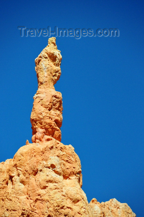 usa2042: Bryce Canyon National Park, Utah, USA: Sunset Point - delicate pinnacle - photo by M.Torres - (c) Travel-Images.com - Stock Photography agency - Image Bank