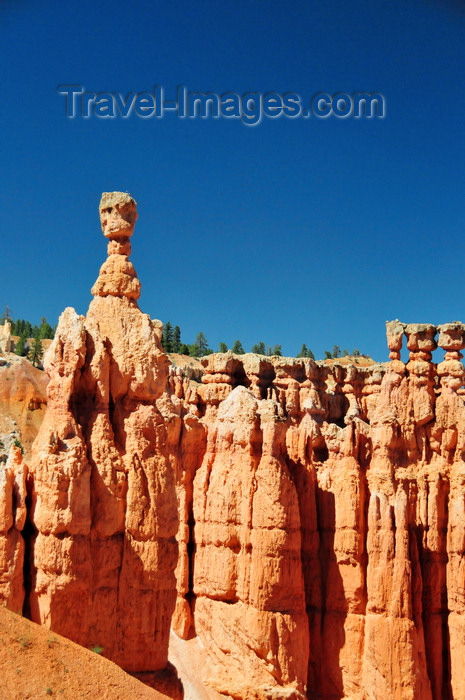 usa2043: Bryce Canyon National Park, Utah, USA: Sunset Point - Thor's Hammer hoodoo and nearby pinnacles seen from the Navajo Loop - photo by M.Torres - (c) Travel-Images.com - Stock Photography agency - Image Bank