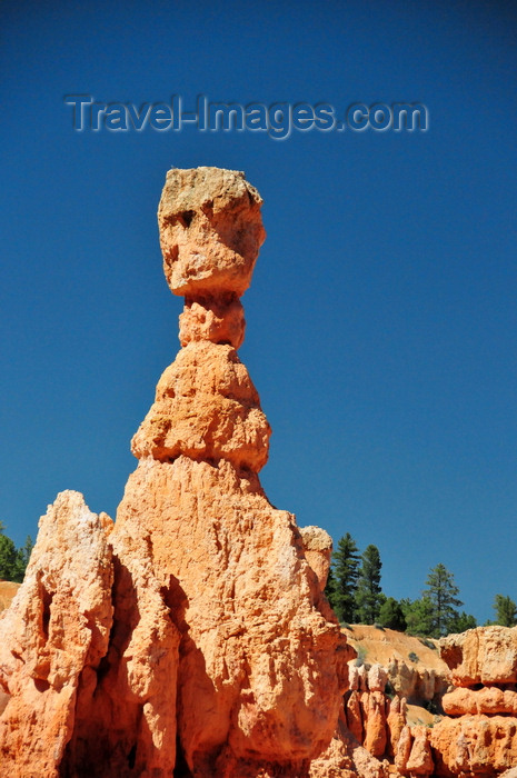 usa2044: Bryce Canyon National Park, Utah, USA: Sunset Point - Thor's Hammer hoodoo is one of the most famous rock formations in the park - fairy chimney - photo by M.Torres - (c) Travel-Images.com - Stock Photography agency - Image Bank