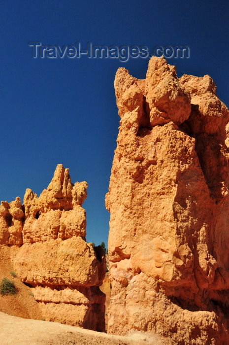 usa2045: Bryce Canyon National Park, Utah, USA: Sunset Point - monolith on the Navajo Loop Trail - photo by M.Torres - (c) Travel-Images.com - Stock Photography agency - Image Bank