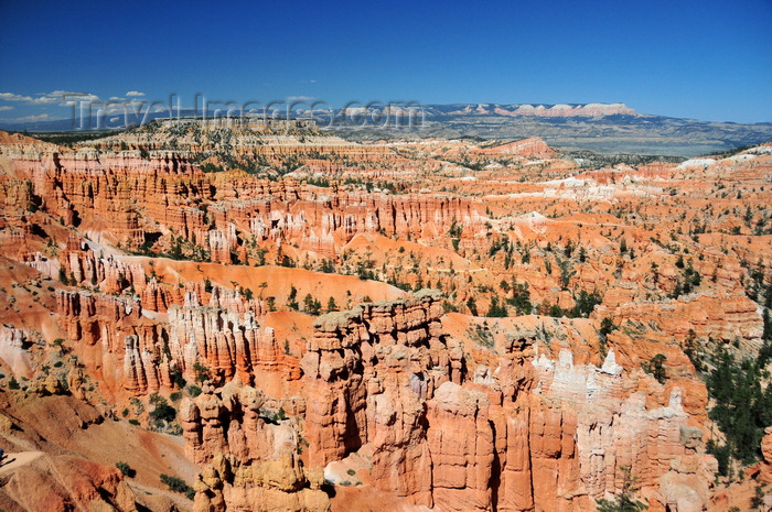 usa2047: Bryce Canyon National Park, Utah, USA: Sunset Point - maze of hoodoos and fins with mesas in the backdrop - photo by M.Torres - (c) Travel-Images.com - Stock Photography agency - Image Bank