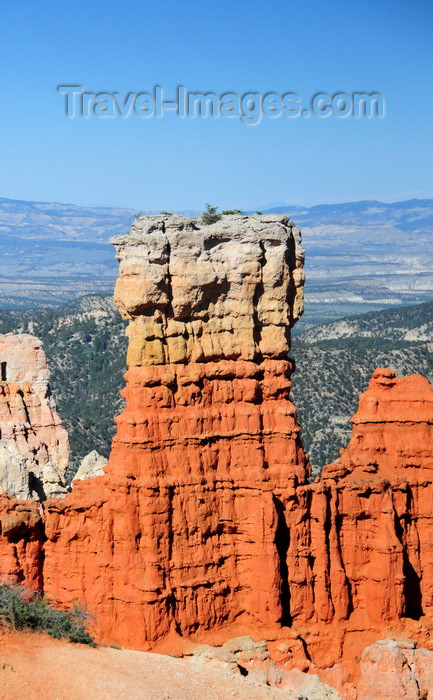 usa2053: Bryce Canyon National Park, Utah, USA: Agua Canyon - fin of red rock - monolith - photo by M.Torres - (c) Travel-Images.com - Stock Photography agency - Image Bank