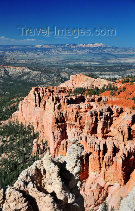 usa2054: Bryce Canyon National Park, Utah, USA: Rainbow Point - cliffs and forest - photo by M.Torres - (c) Travel-Images.com - Stock Photography agency - Image Bank