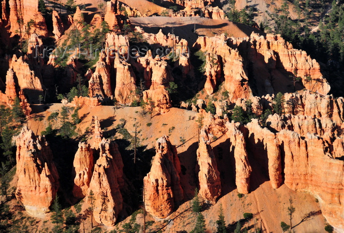 usa2061: Bryce Canyon National Park, Utah, USA: Inspiration Point - fins create a labyrinth in the canyon's floor - photo by M.Torres - (c) Travel-Images.com - Stock Photography agency - Image Bank