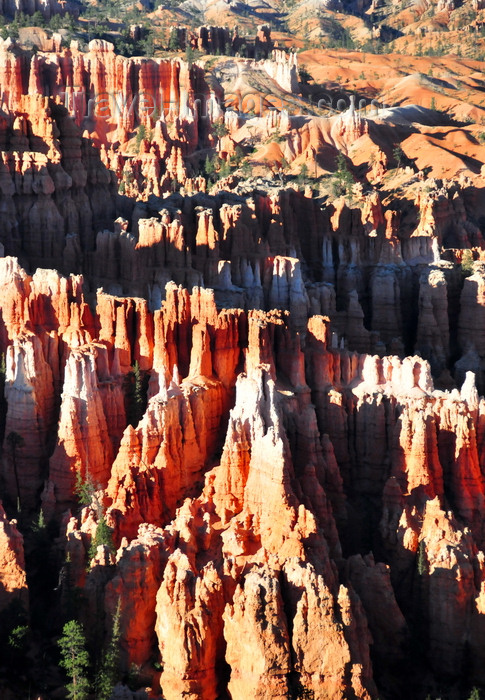 usa2062: Bryce Canyon National Park, Utah, USA: Inspiration Point - rows of hoodoos from the Claron Formation, with a lower pink limestone layer, containing sand, silt, and iron, and an upper white layer, a purer freshwater limestone - Silent City - photo by M.Torres - (c) Travel-Images.com - Stock Photography agency - Image Bank