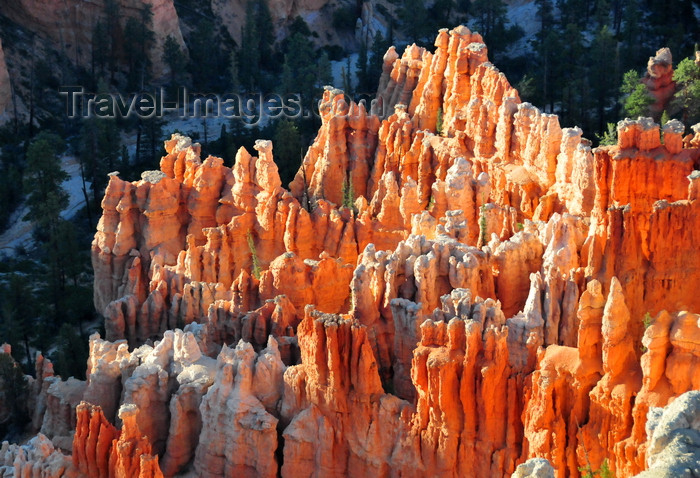 usa2068: Bryce Canyon National Park, Utah, USA: Bryce Point - tops of hoodoos still in the sun, with the bottom of the valley in the shade - badlands - photo by M.Torres - (c) Travel-Images.com - Stock Photography agency - Image Bank