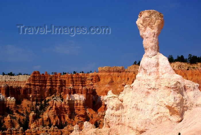 usa2072: Bryce Canyon National Park, Utah, USA: white hoodoo towering above the canyon - Queens Garden Trail - fairy chimney - photo by A.Ferrari - (c) Travel-Images.com - Stock Photography agency - Image Bank