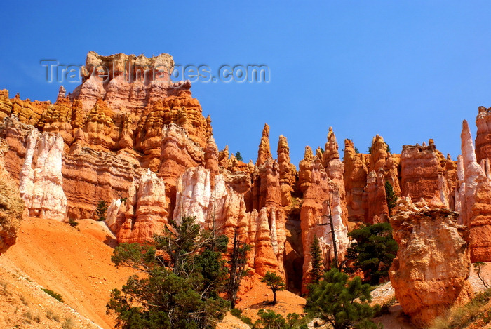 usa2074: Bryce Canyon National Park, Utah, USA: Queens Garden Trail - red and white limestone formation - photo by A.Ferrari - (c) Travel-Images.com - Stock Photography agency - Image Bank