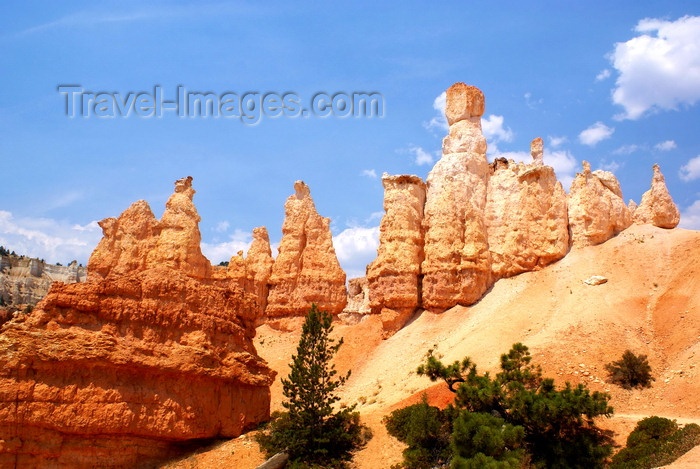 usa2075: Bryce Canyon National Park, Utah, USA: Queens Garden Trail - the rocks change colour from red at the bottom to white at the top  - photo by A.Ferrari - (c) Travel-Images.com - Stock Photography agency - Image Bank
