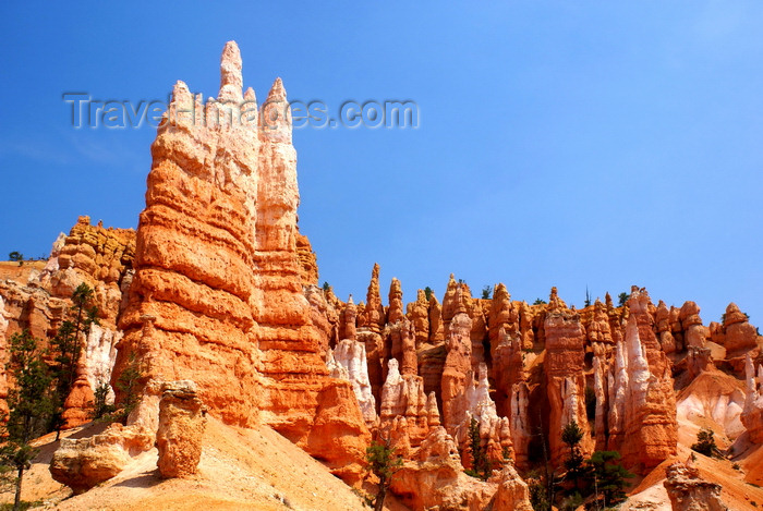 usa2079: Bryce Canyon National Park, Utah, USA: Queens Garden Trail - rock fin agains a backdrop of hoodoos- photo by A.Ferrari - (c) Travel-Images.com - Stock Photography agency - Image Bank